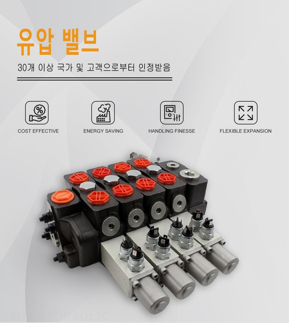 DLS180 Micro Switch 수동 4 스풀 구역 방향 밸브